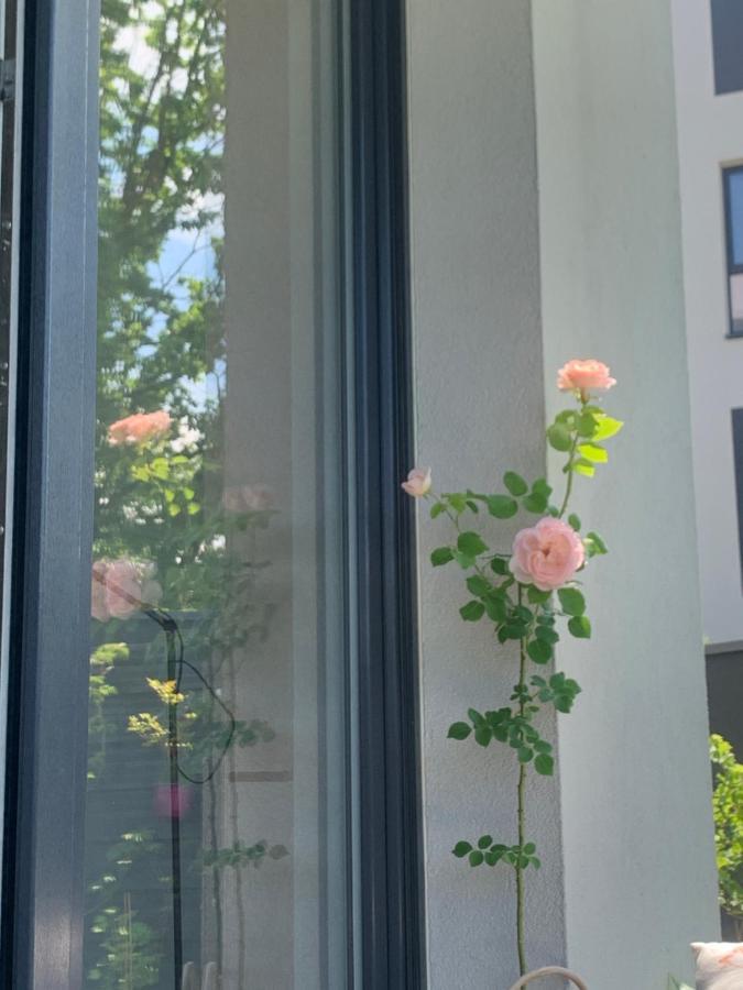 Garden Apartment Self Check-In - Bezkluczowy Dostep W 10 Minut O Kazdej Porze Cracovia Exterior foto